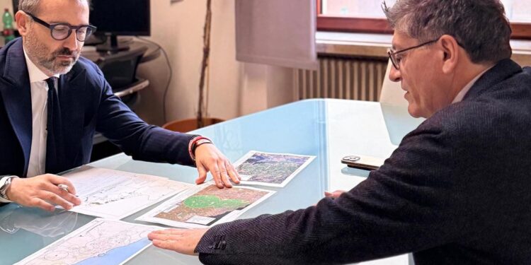 Xylella in agro di Bitonto, assessore Paolicelli: “Caso isolato, manteniamo alta l’attenzione”