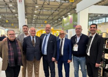 Sol2Expo 2026: “Dai frantoi parte il rilancio della filiera olivicola”