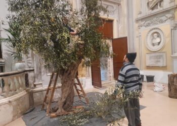 Da Canosa a Molfetta:  La Frasca delle Palme  