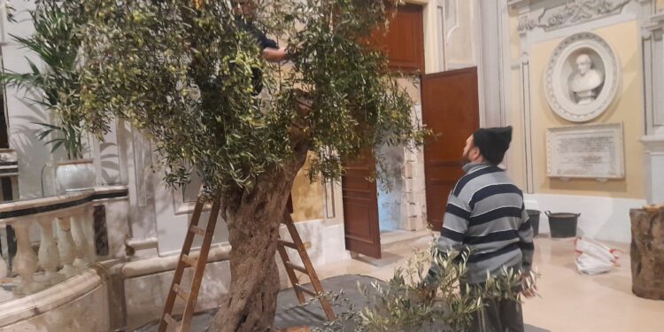 Da Canosa a Molfetta:  La Frasca delle Palme  