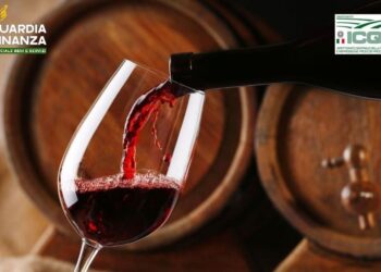 Frodi nel vino: False certificazioni Igp e Dop