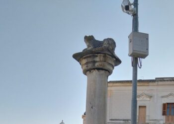 La Colonna della Gogna del ‘700 a Canosa: riscoperte le radici marmoree del leone