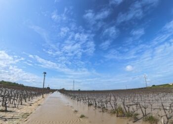 Maltempo: la Giunta regionale Puglia chiede il riconoscimento dello stato di emergenza di rilievo nazionale