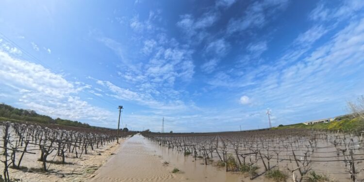 Maltempo: la Giunta regionale Puglia chiede il riconoscimento dello stato di emergenza di rilievo nazionale