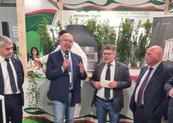 I frantoi italiani sono un presidio fondamentale dei territori