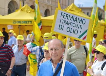 Speculazioni e inganni dimezzano i prezzi dell’olio italiano