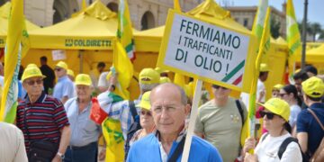 Speculazioni e inganni dimezzano i prezzi dell’olio italiano