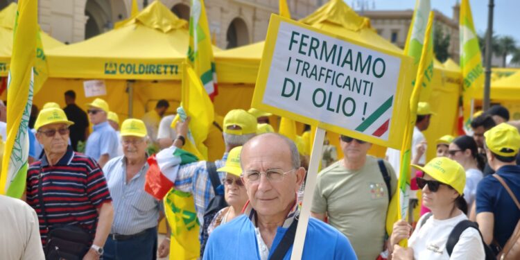 Speculazioni e inganni dimezzano i prezzi dell’olio italiano